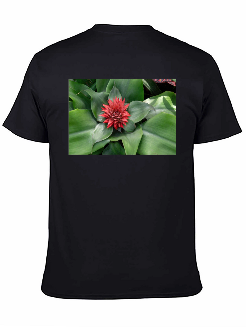 Botanical Print Black T-Shirt