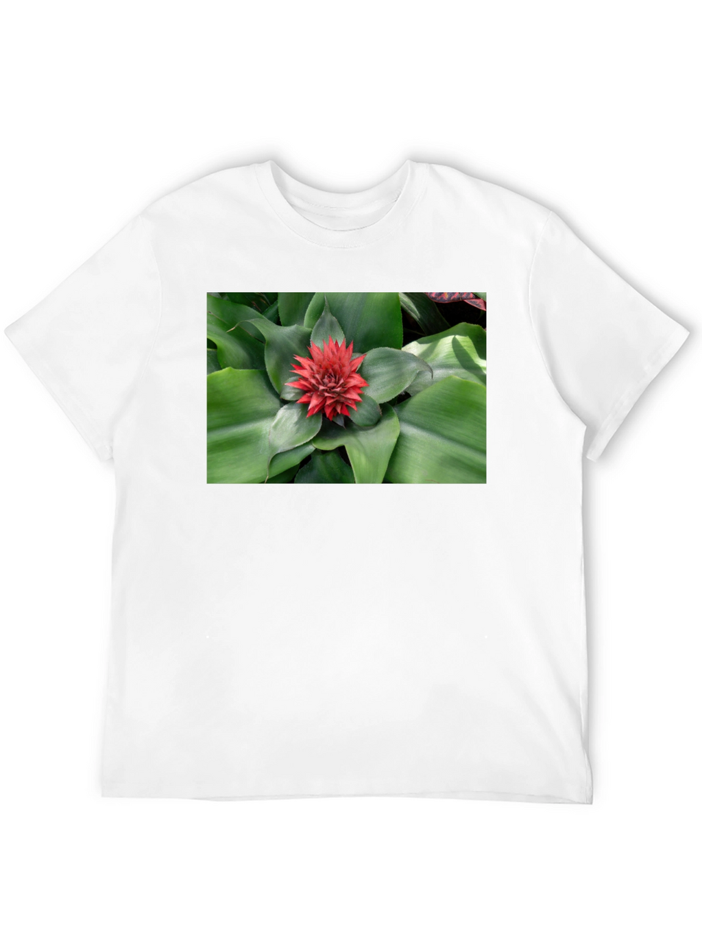Botanical Print Black T-Shirt