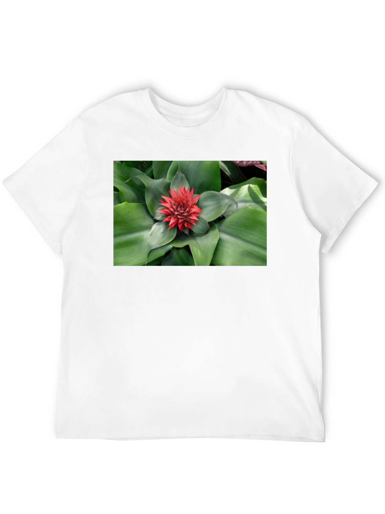 Botanical Print Black T-Shirt