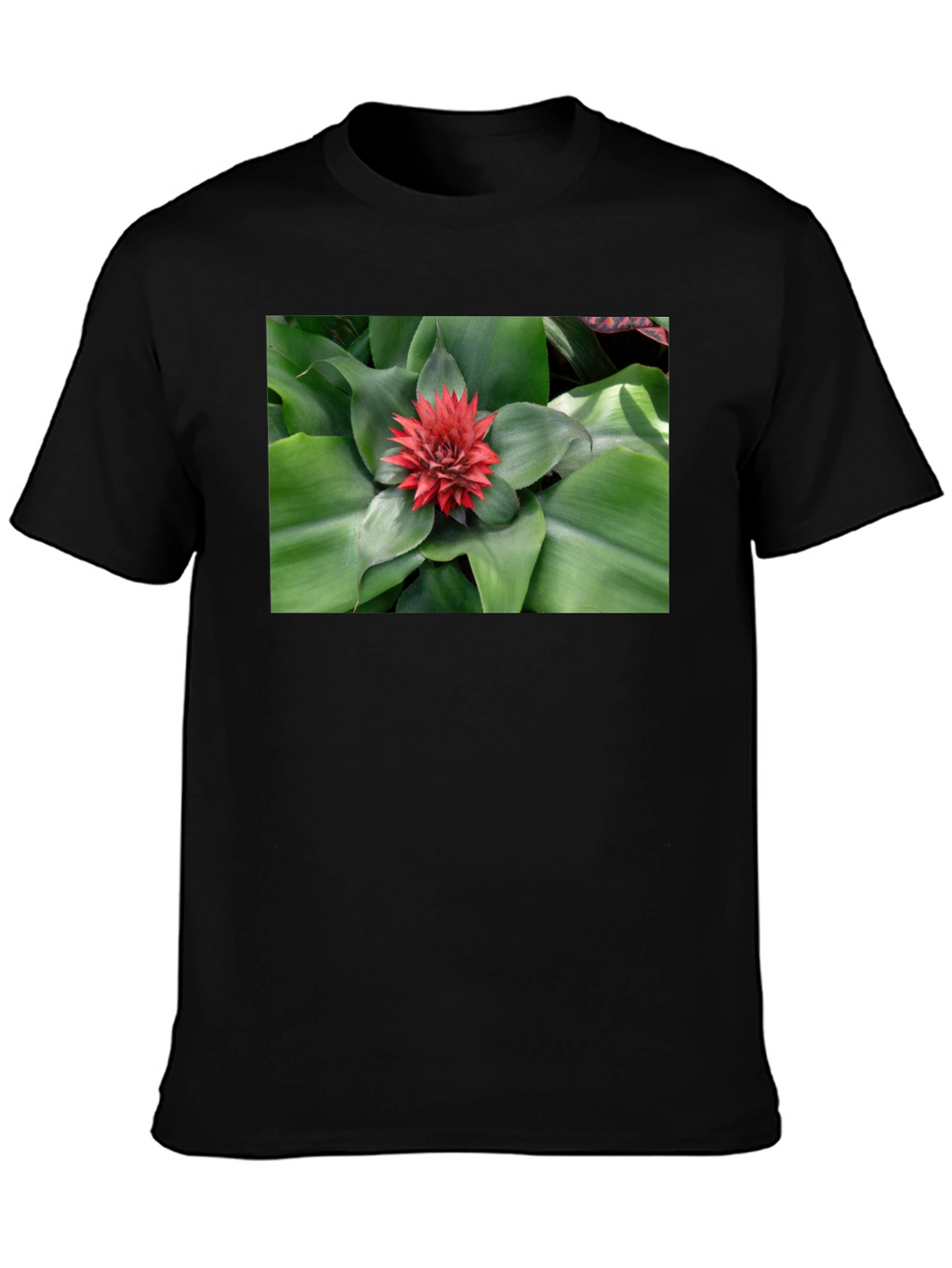 Botanical Print Black T-Shirt