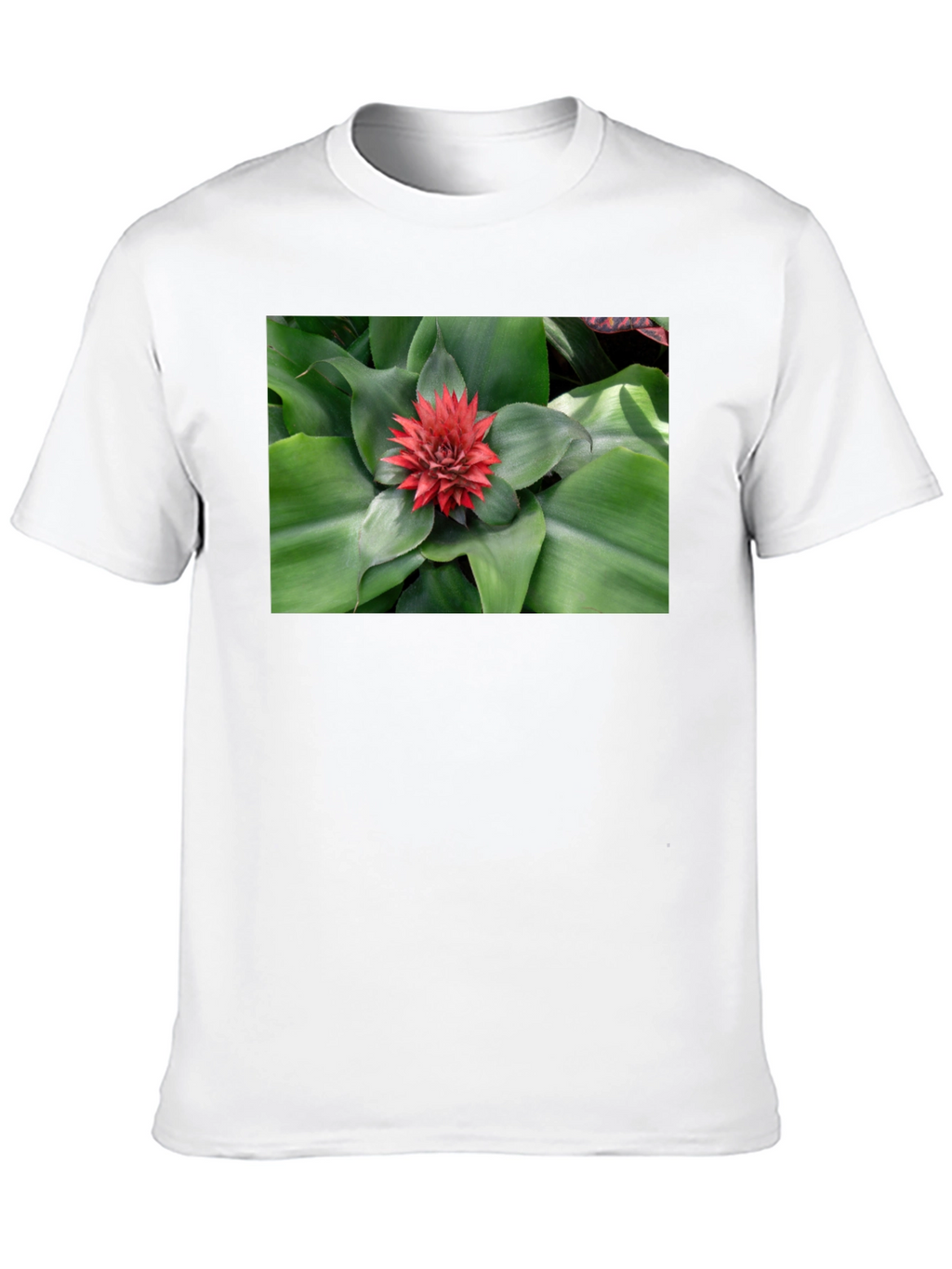 Botanical Print Black T-Shirt