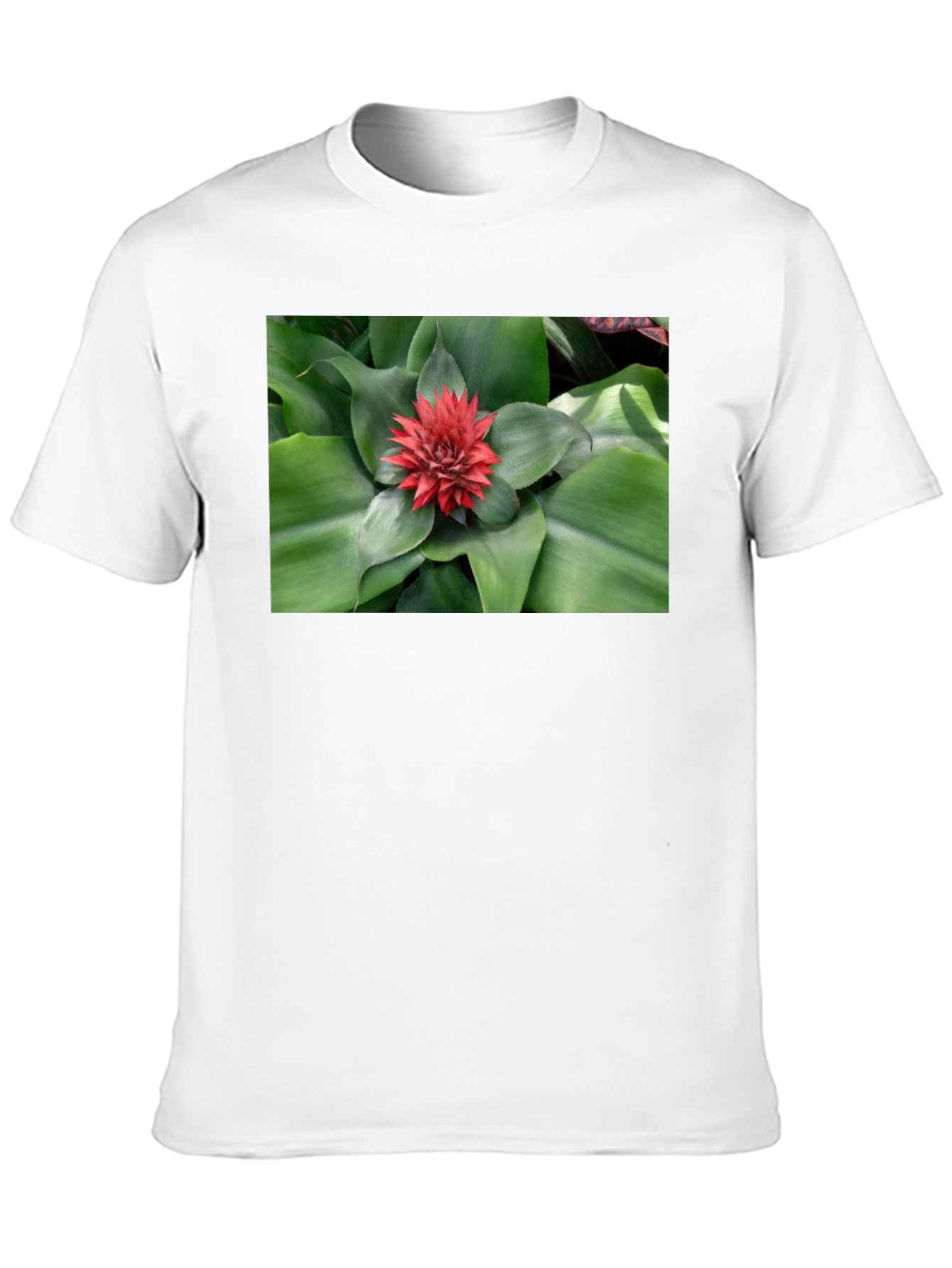 Botanical Print Black T-Shirt
