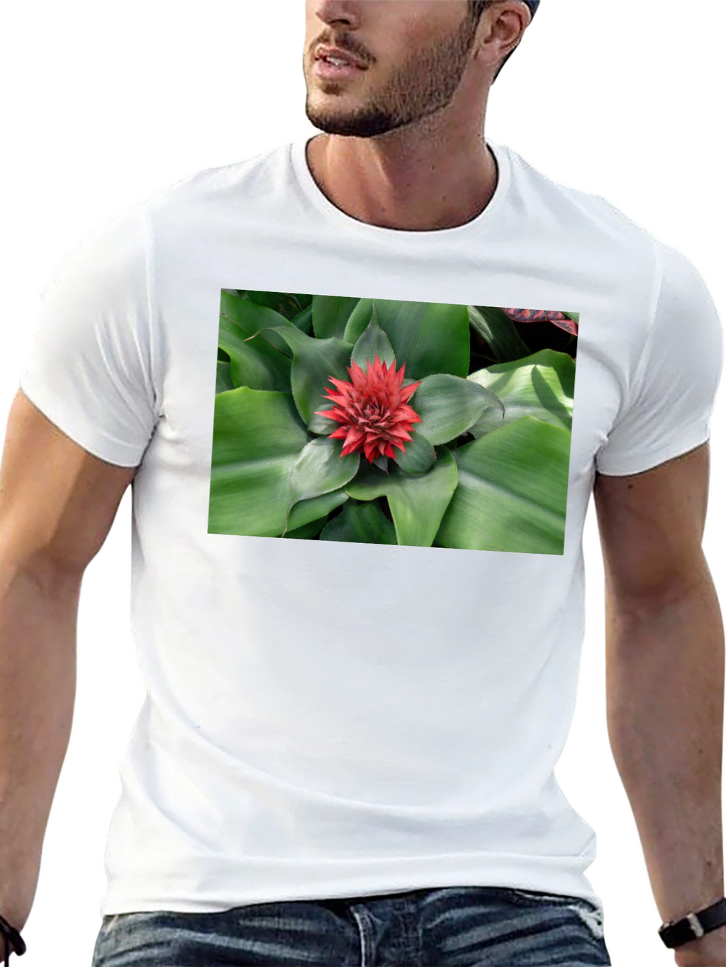 Botanical Print Black T-Shirt