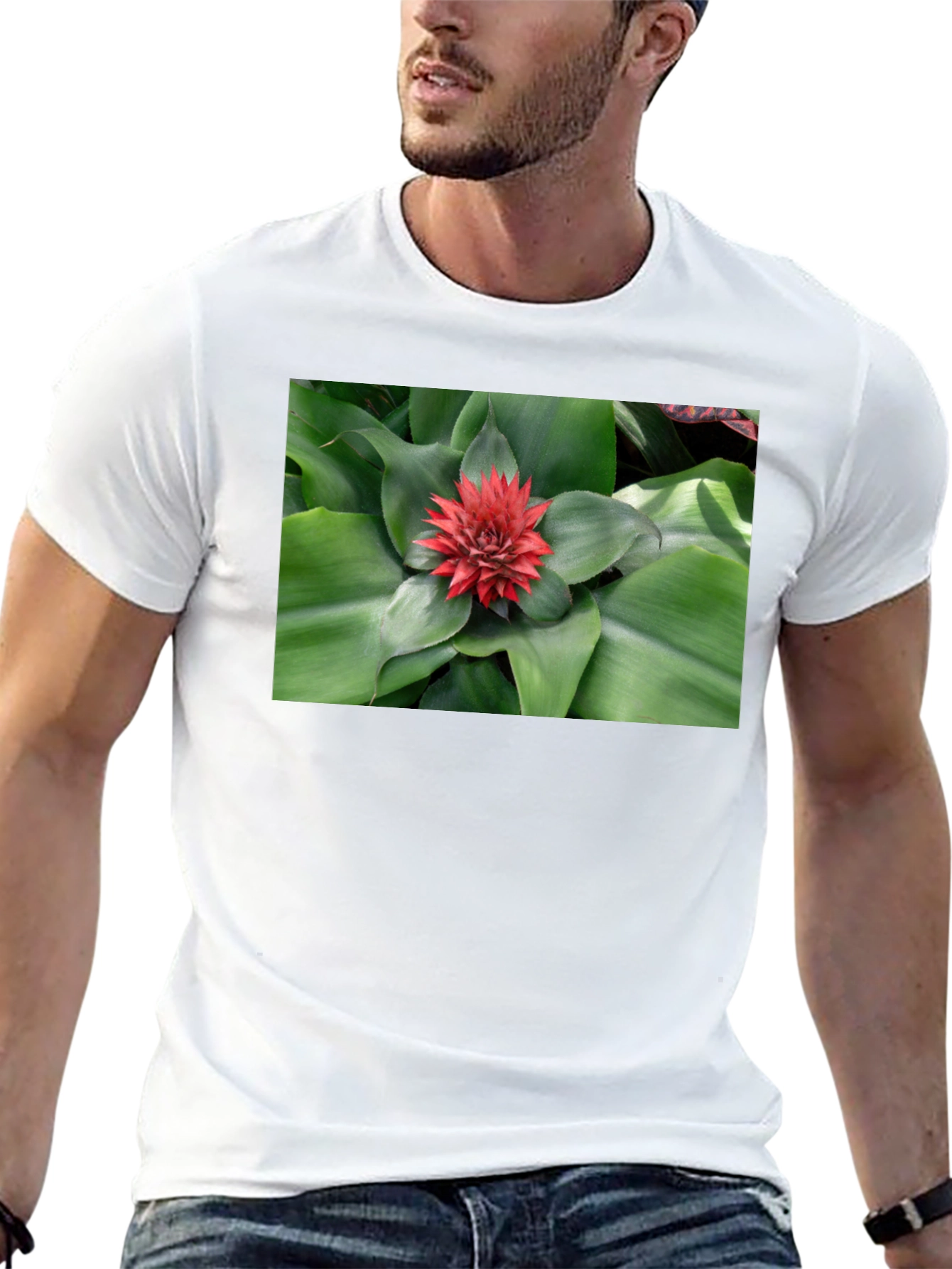Botanical Print Black T-Shirt