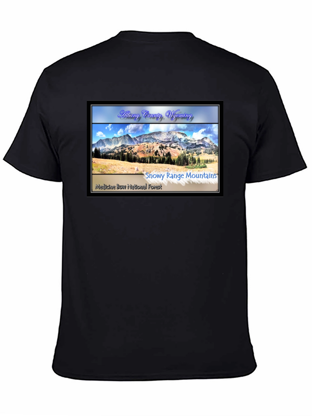 Albany County Wyoming Graphic T-Shirt