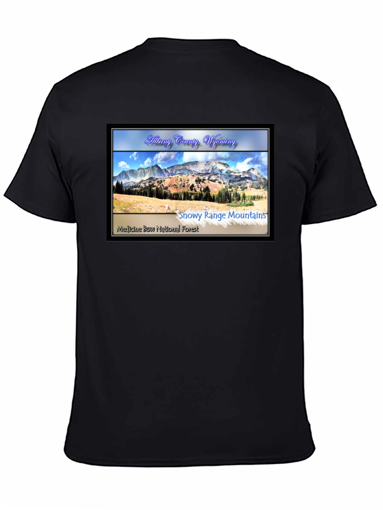 Albany County Wyoming Graphic T-Shirt