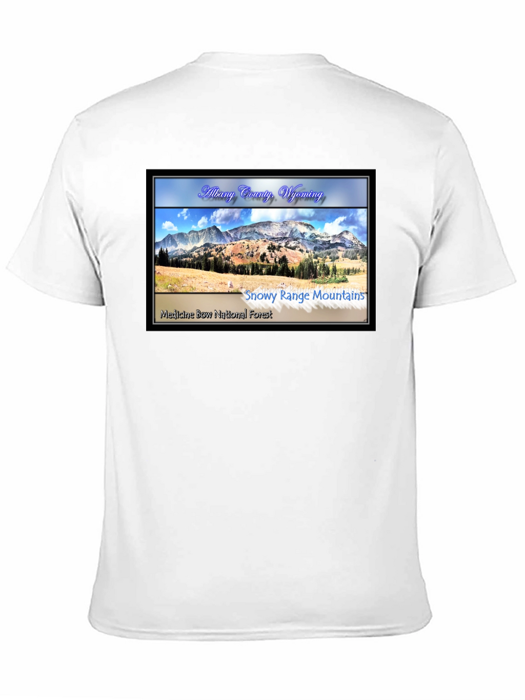 Albany County Wyoming Graphic T-Shirt