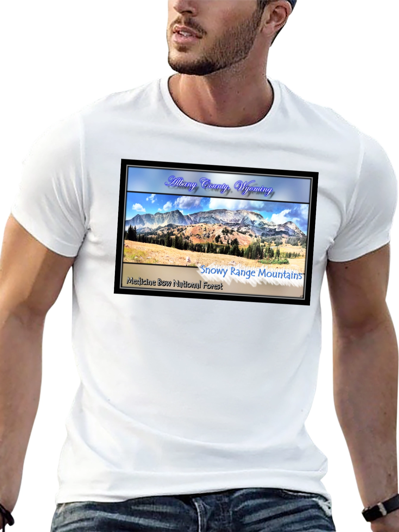 Albany County Wyoming Graphic T-Shirt