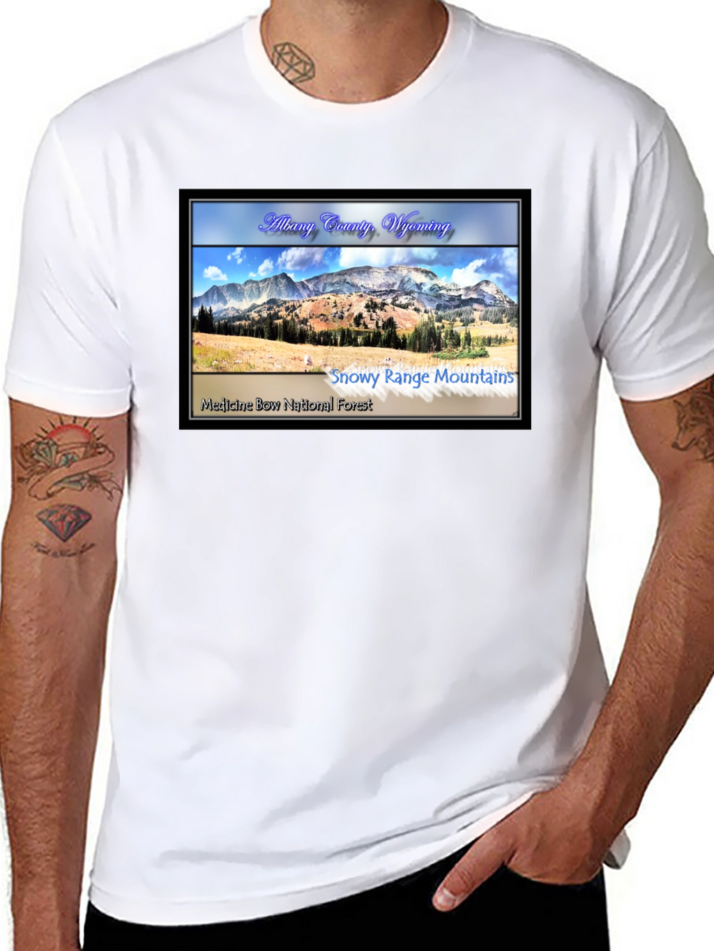 Albany County Wyoming Graphic T-Shirt