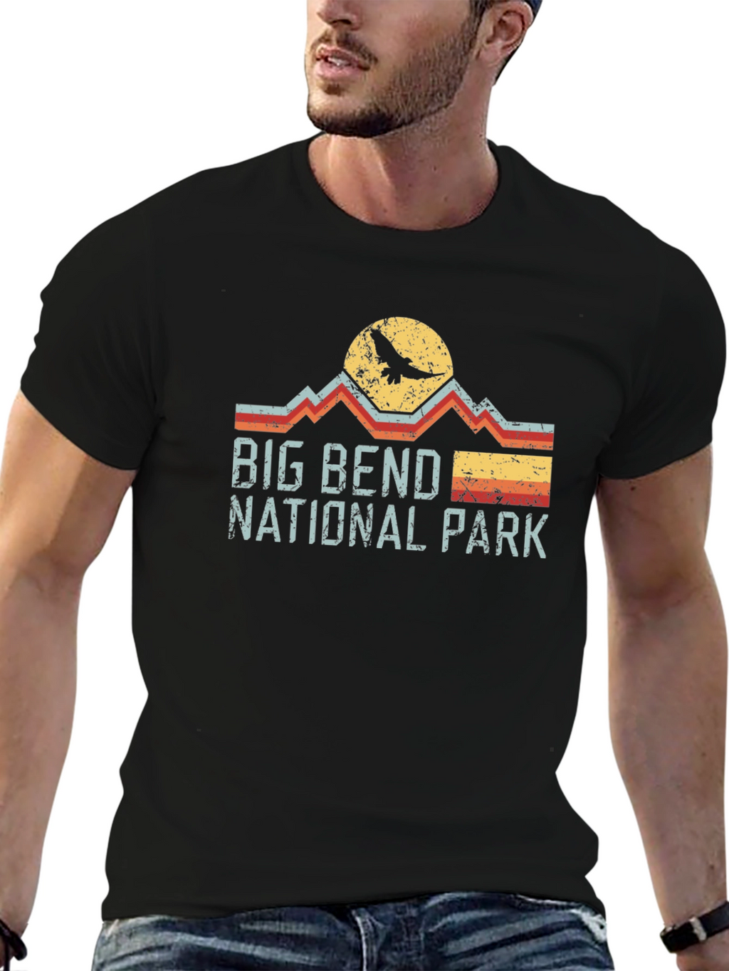 Big Bend National Park Retro T-Shirt