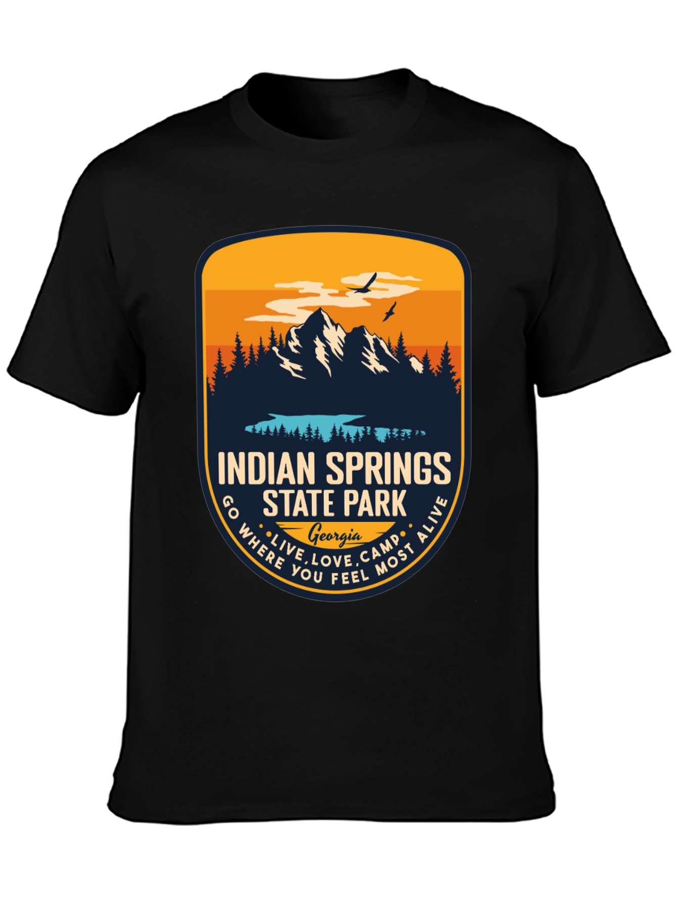 Indian Springs State Park T-Shirt - Georgia Souvenir Tee