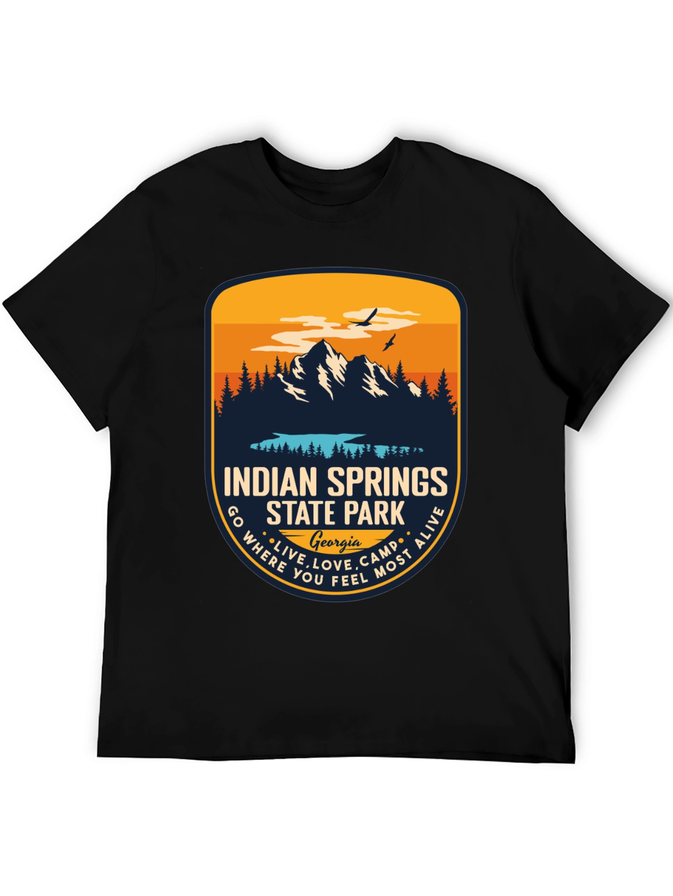Indian Springs State Park T-Shirt - Georgia Souvenir Tee