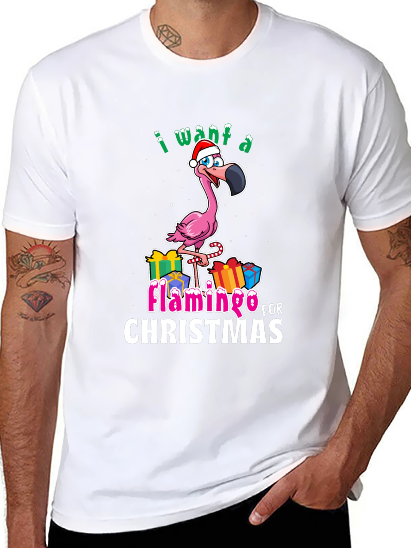 I Want a Flamingo for Christmas T-Shirt