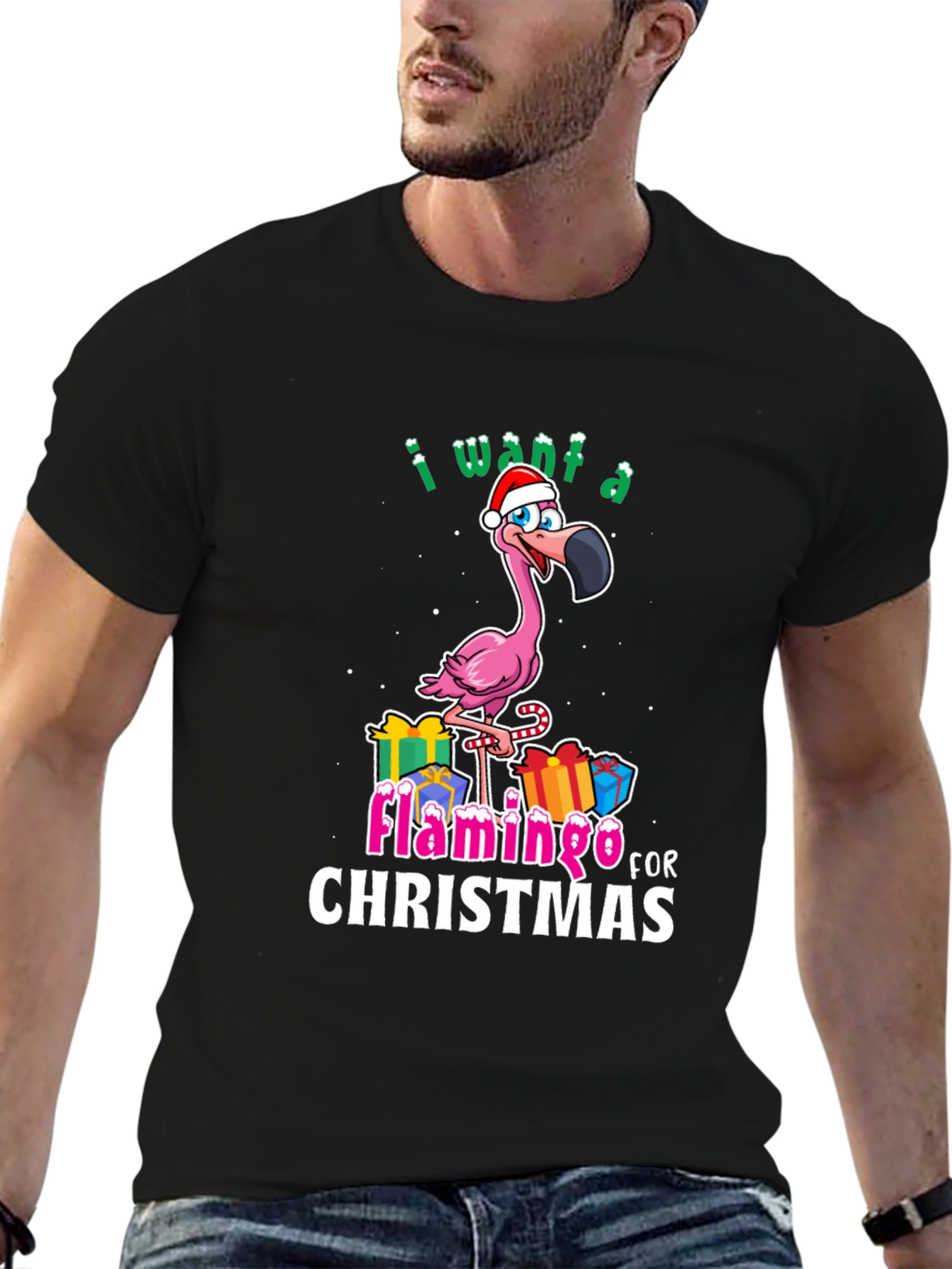 I Want a Flamingo for Christmas T-Shirt