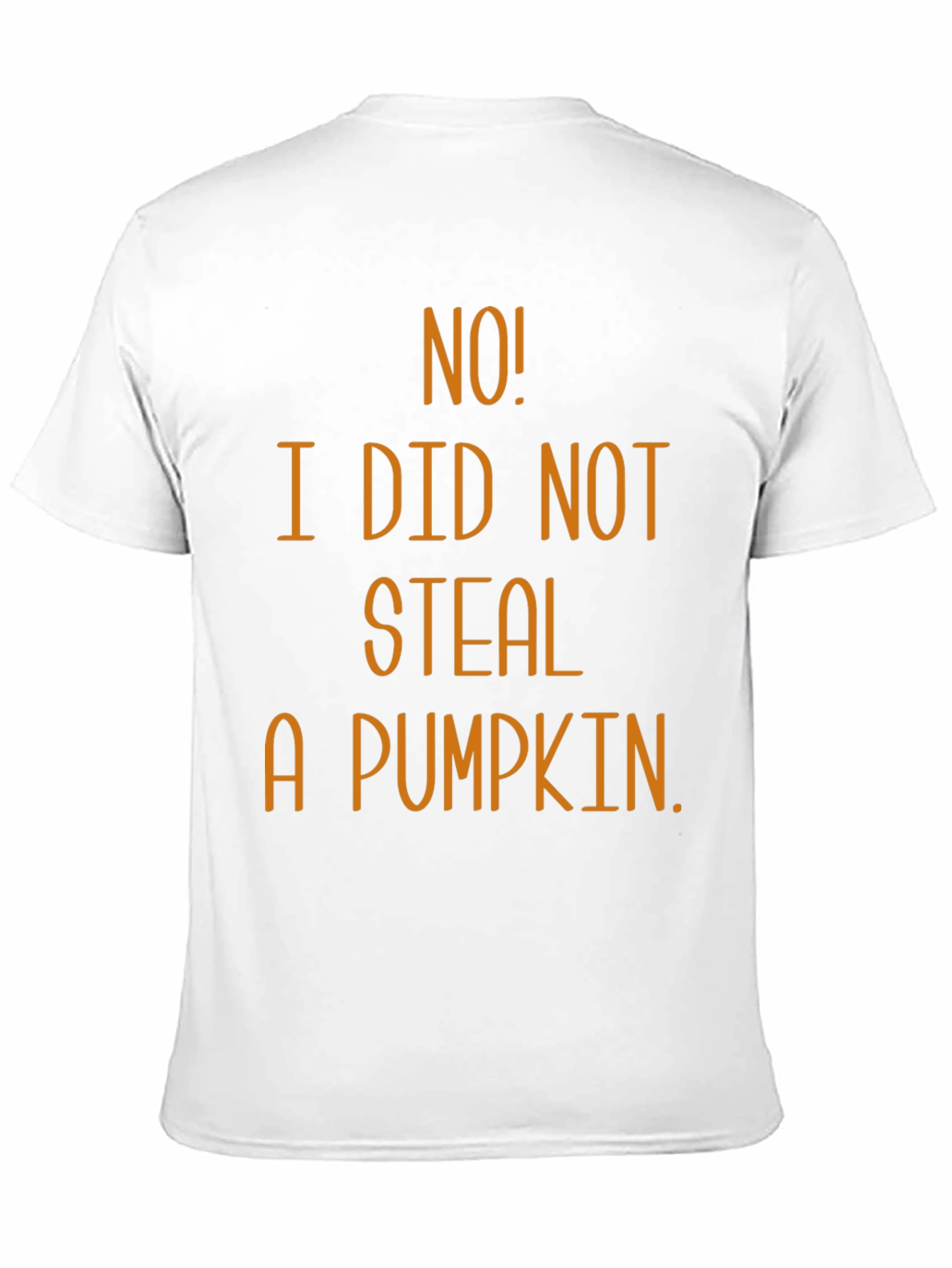 No! I Did Not Steal A Pumpkin T-Shirt