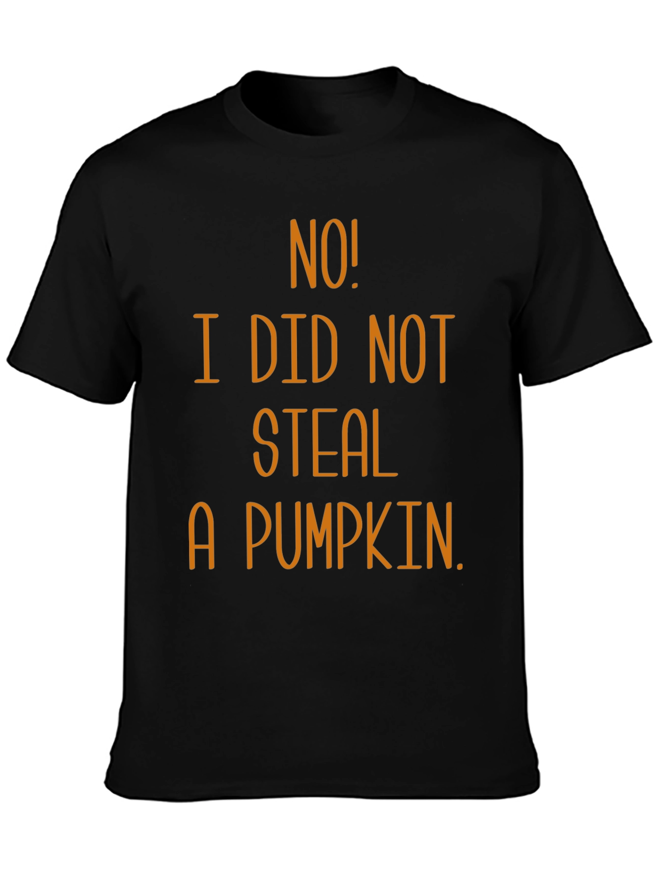 No! I Did Not Steal A Pumpkin T-Shirt