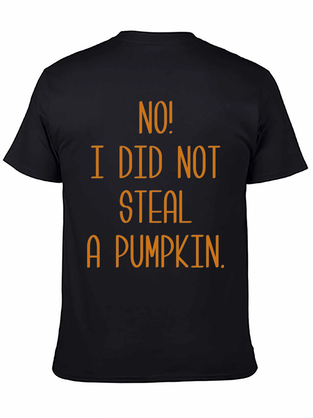 No! I Did Not Steal A Pumpkin T-Shirt