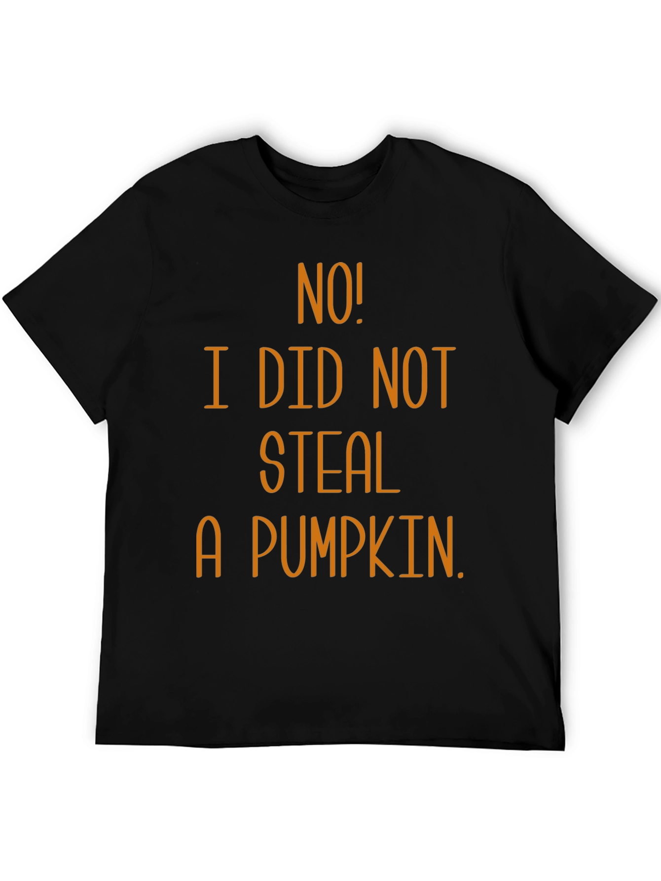 No! I Did Not Steal A Pumpkin T-Shirt