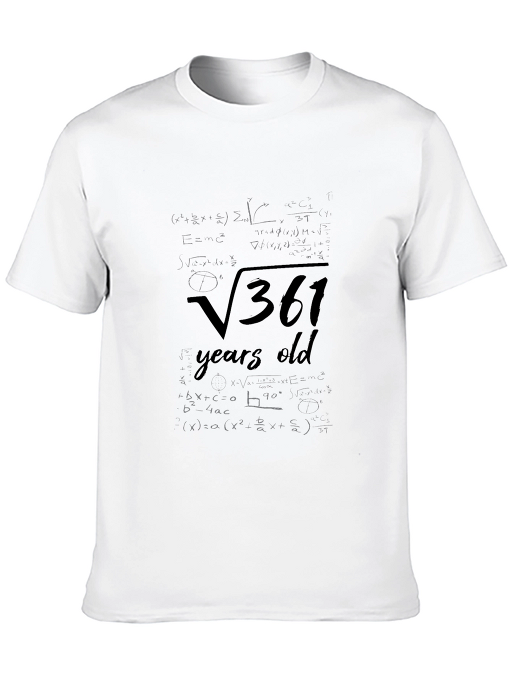 19th Birthday Math T-Shirt Square Root 361