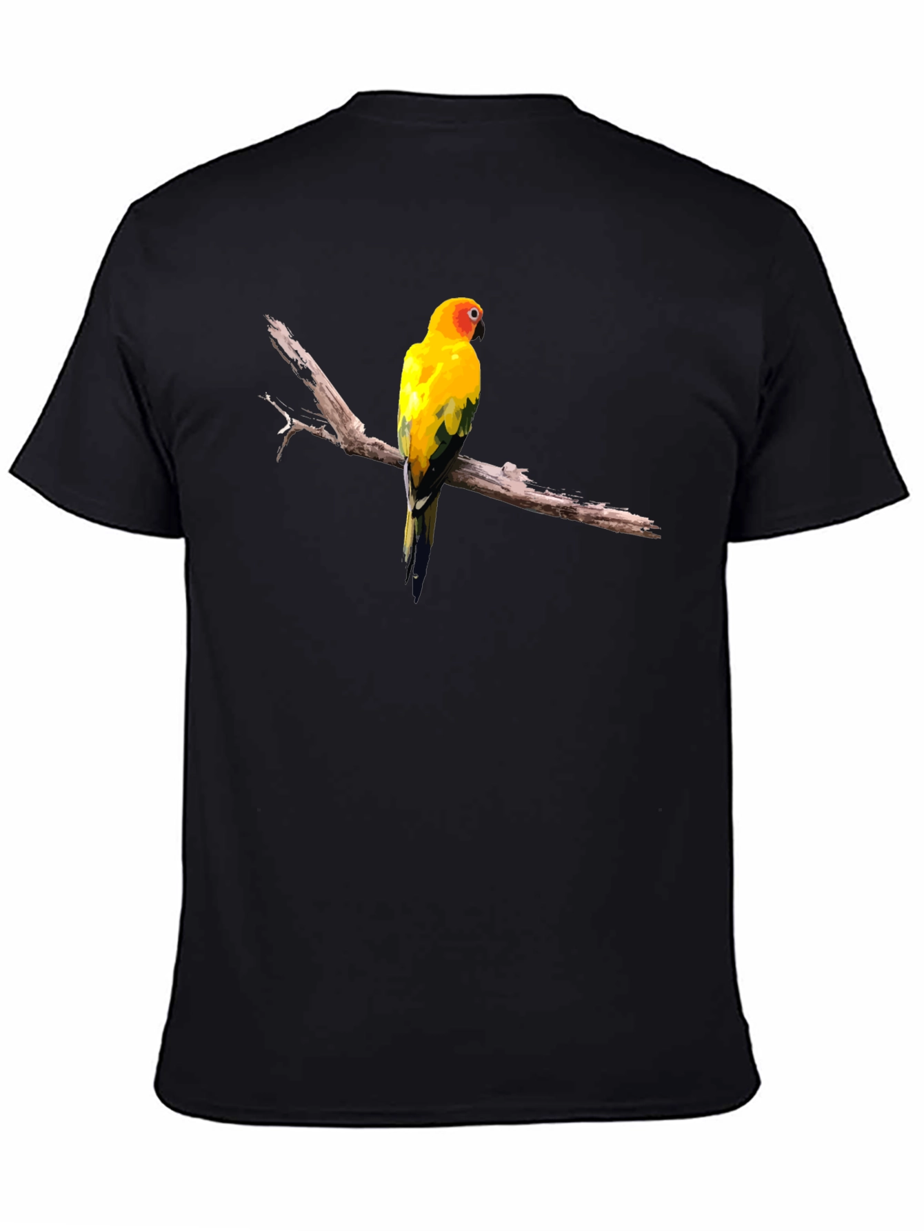 Sun Conure Bird Graphic T-Shirt