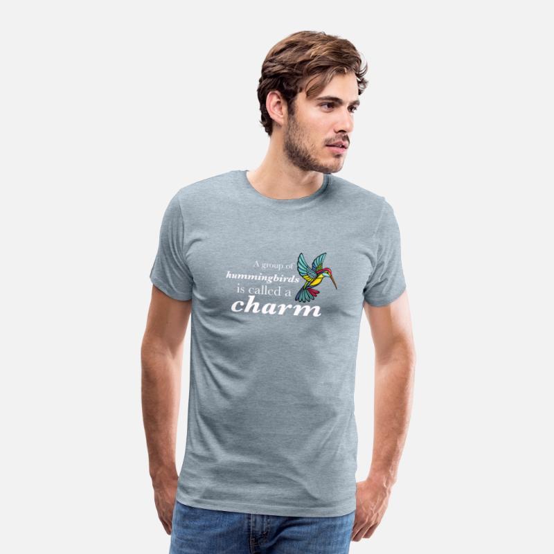 A Group of Hummingbirds is Called a Charm