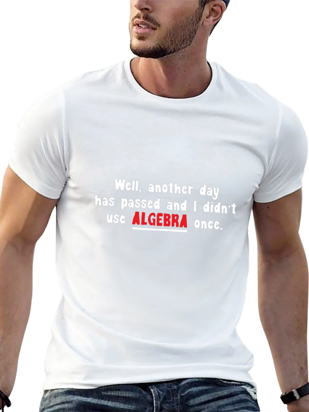 Funny Algebra T-Shirt: Another Day Passed
