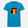 Antwerp Belgium coat of arms flags design