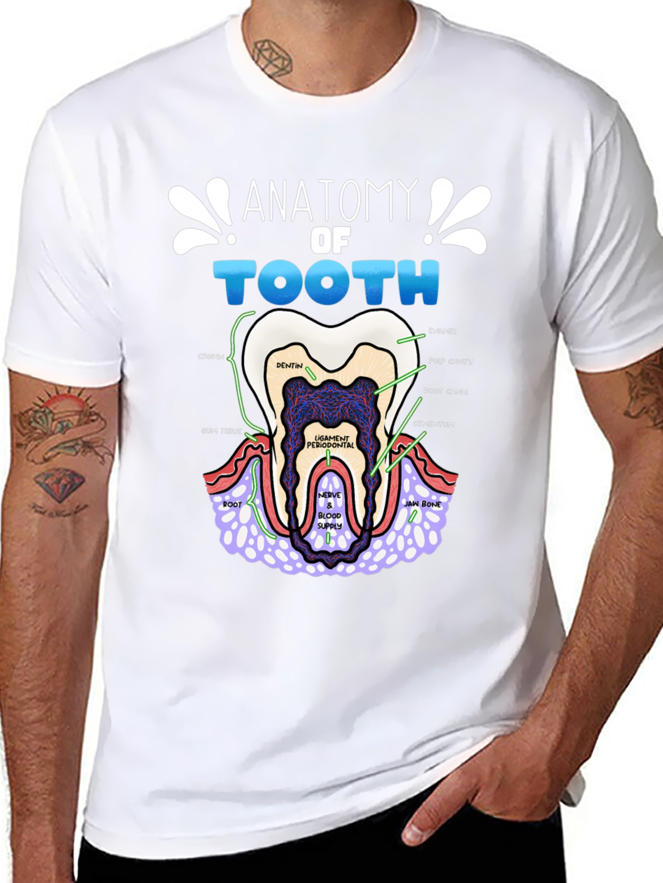 Anatomy of a Tooth T-Shirt
