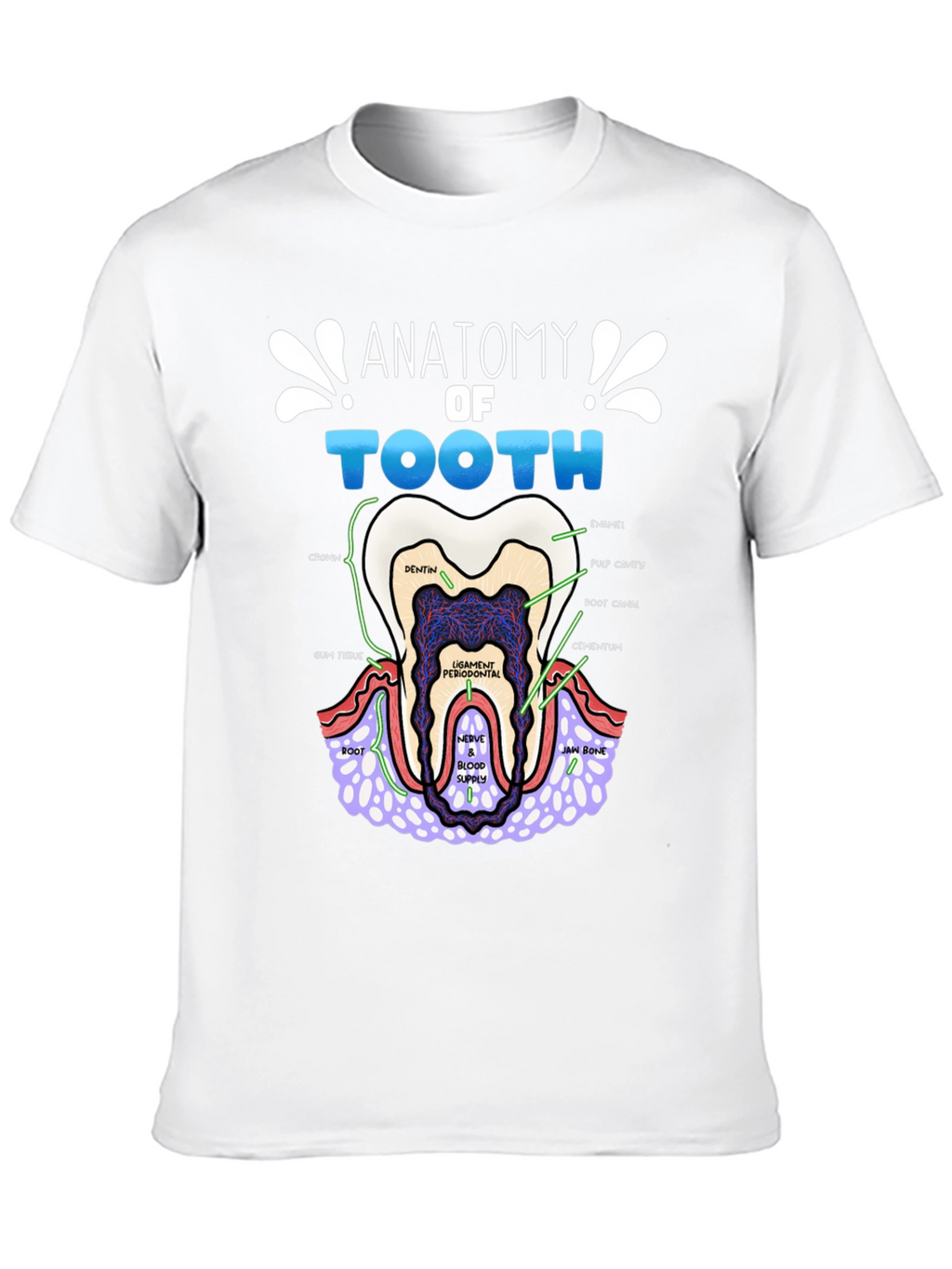 Anatomy of a Tooth T-Shirt