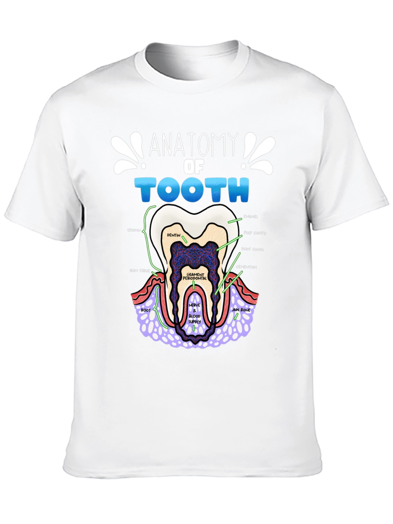 Anatomy of a Tooth T-Shirt