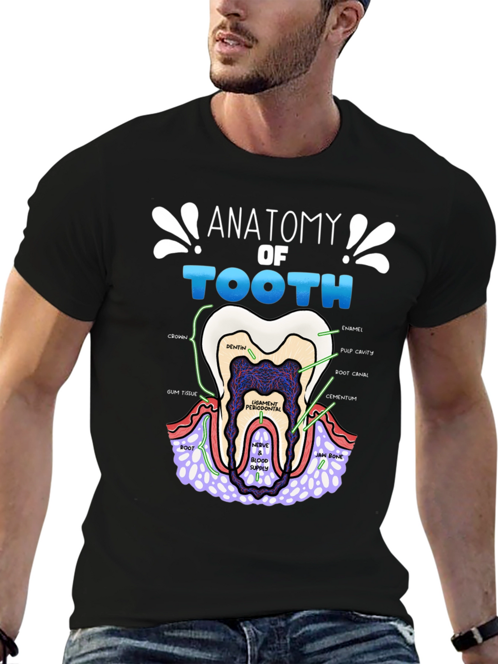 Anatomy of a Tooth T-Shirt