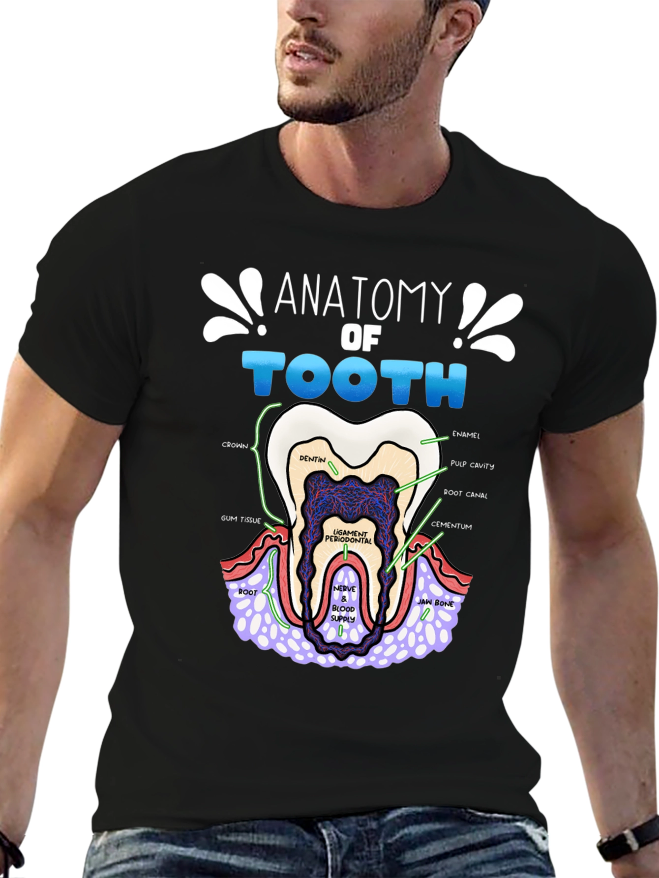 Anatomy of a Tooth T-Shirt