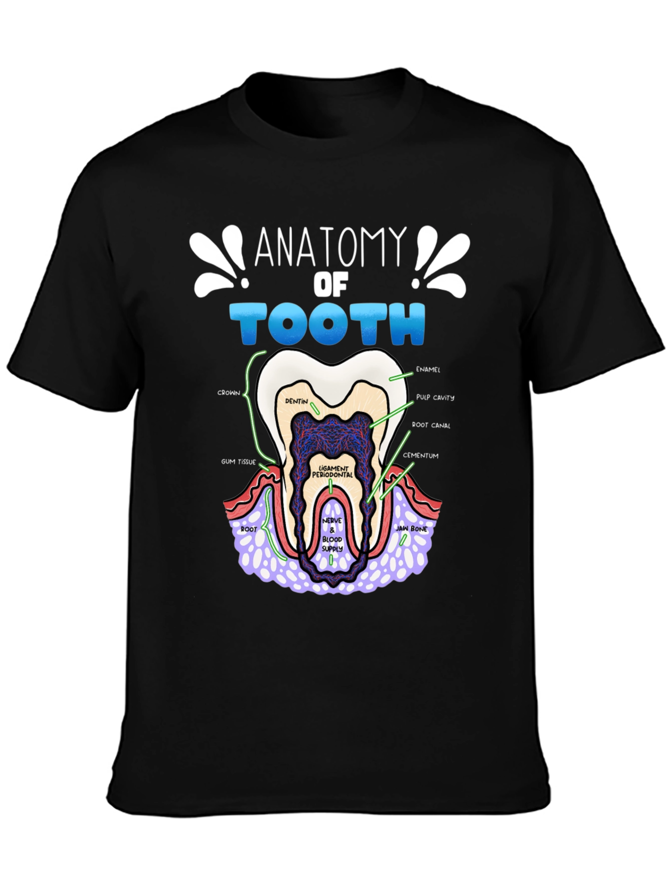 Anatomy of a Tooth T-Shirt