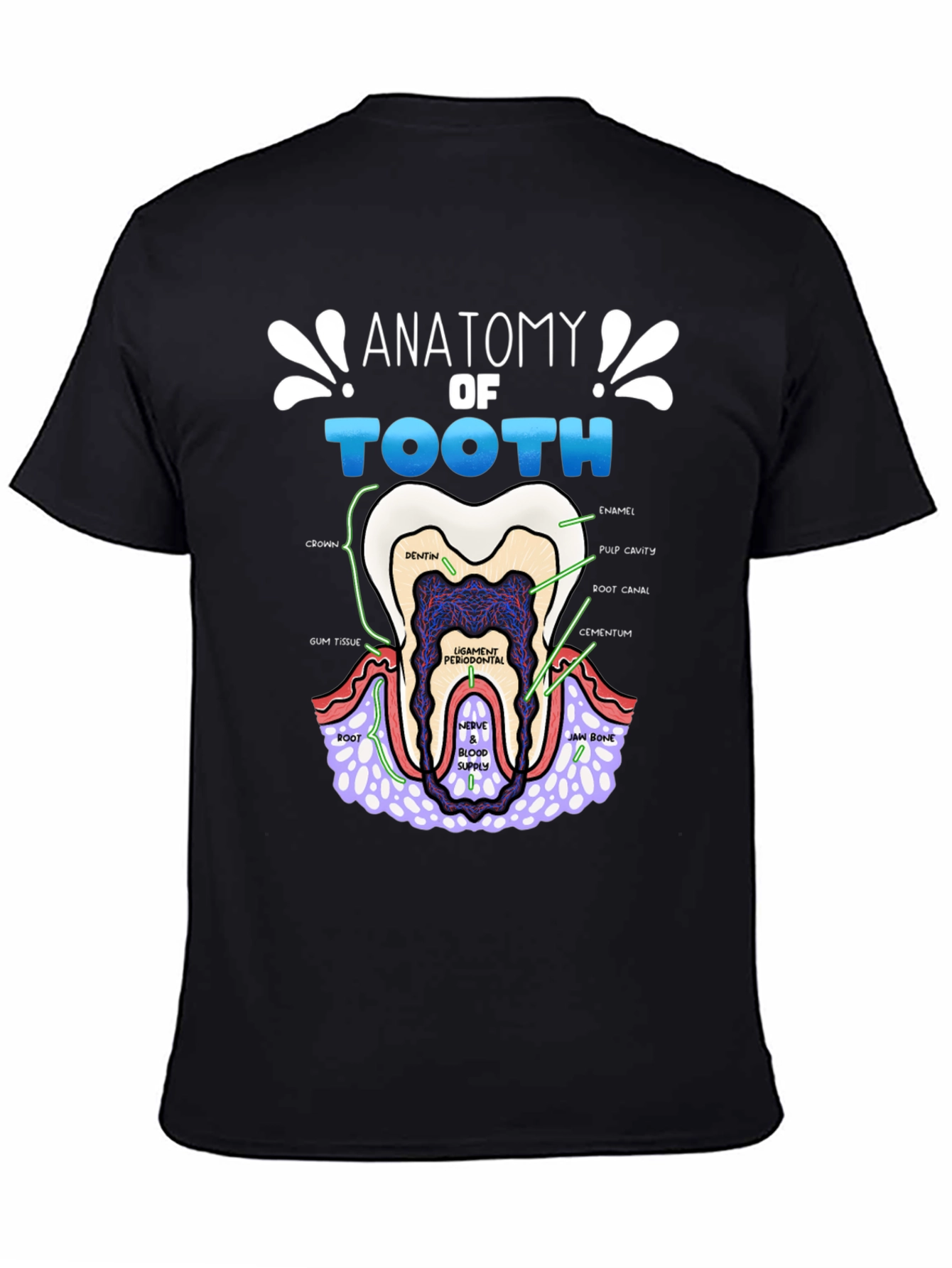 Anatomy of a Tooth T-Shirt