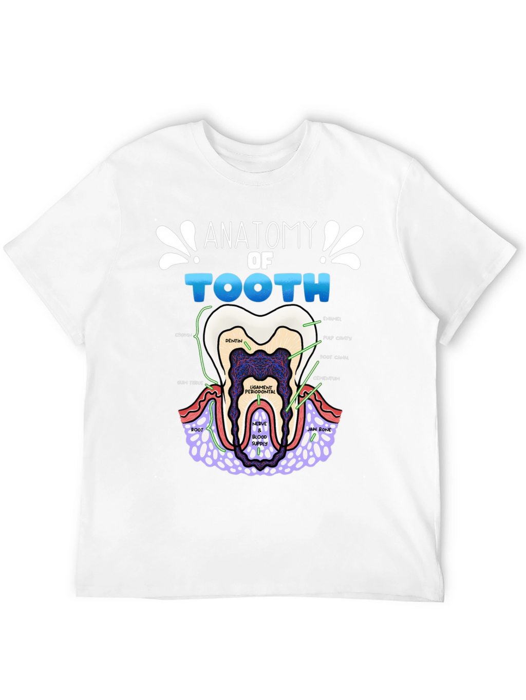 Anatomy of a Tooth T-Shirt