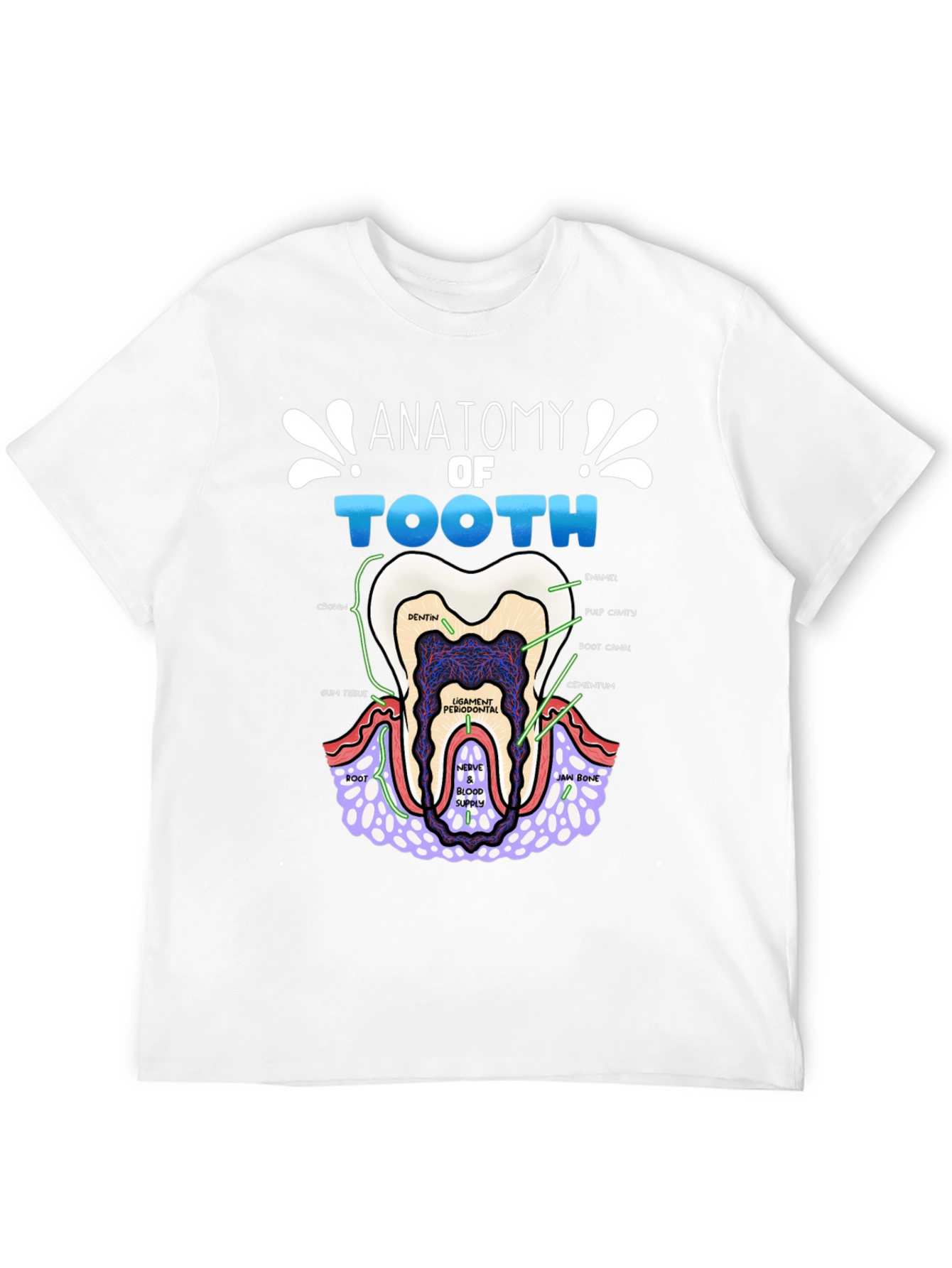 Anatomy of a Tooth T-Shirt