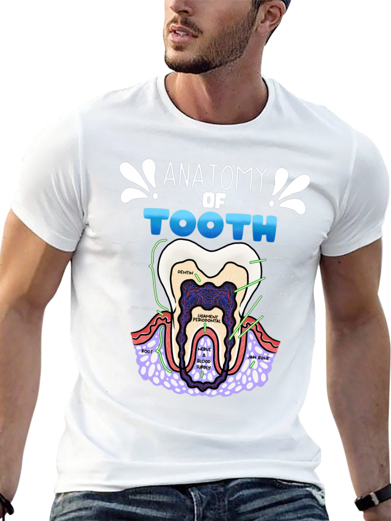Anatomy of a Tooth T-Shirt