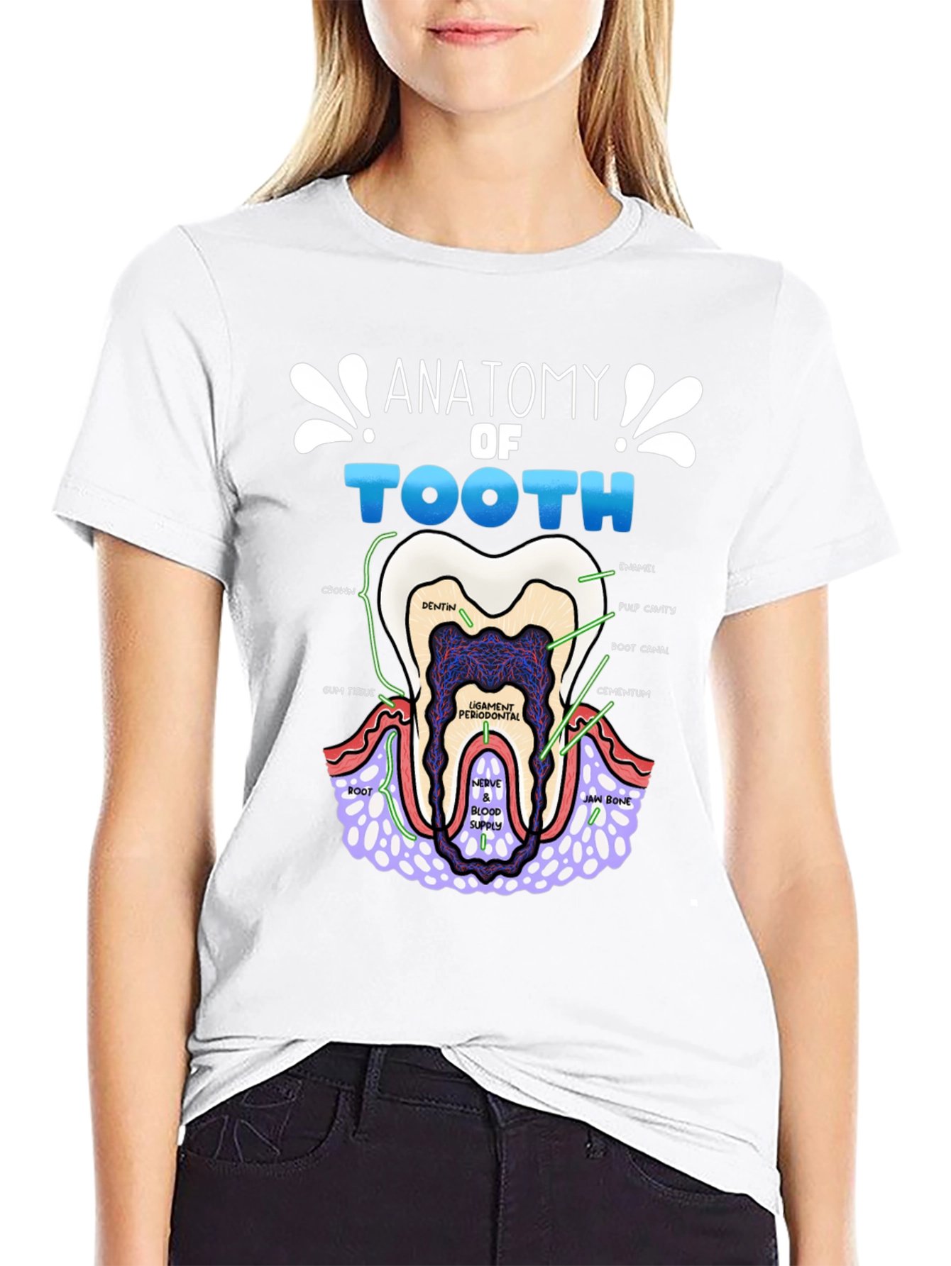 Anatomy of a Tooth T-Shirt