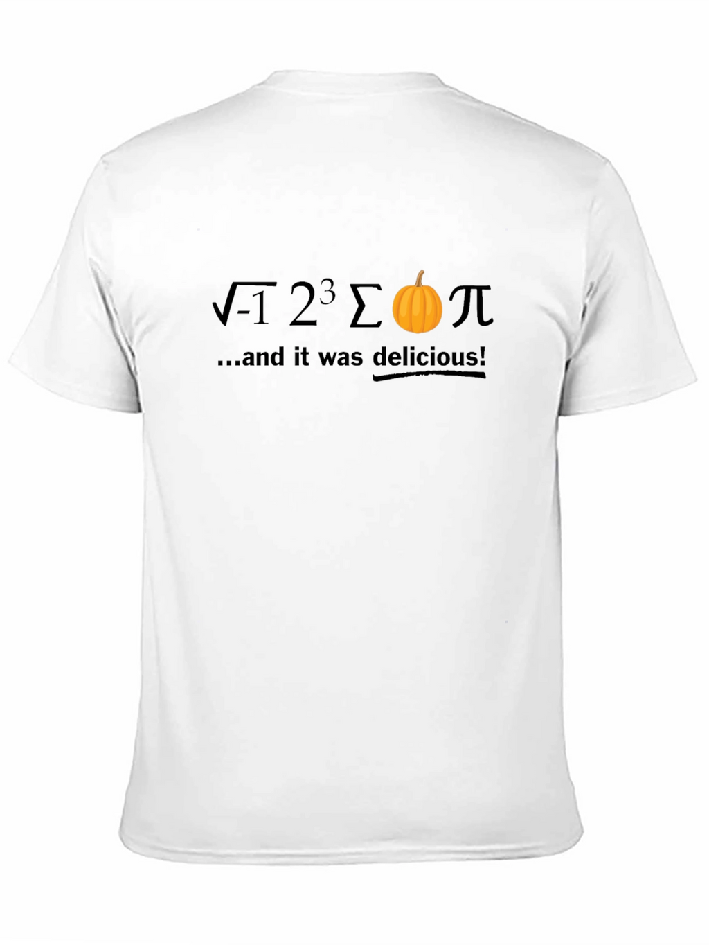 Delicious Pumpkin Pi T-Shirt