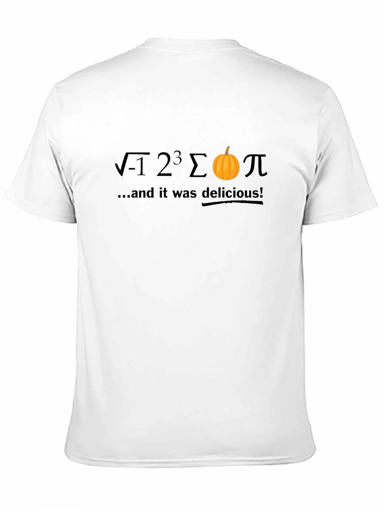 Delicious Pumpkin Pi T-Shirt