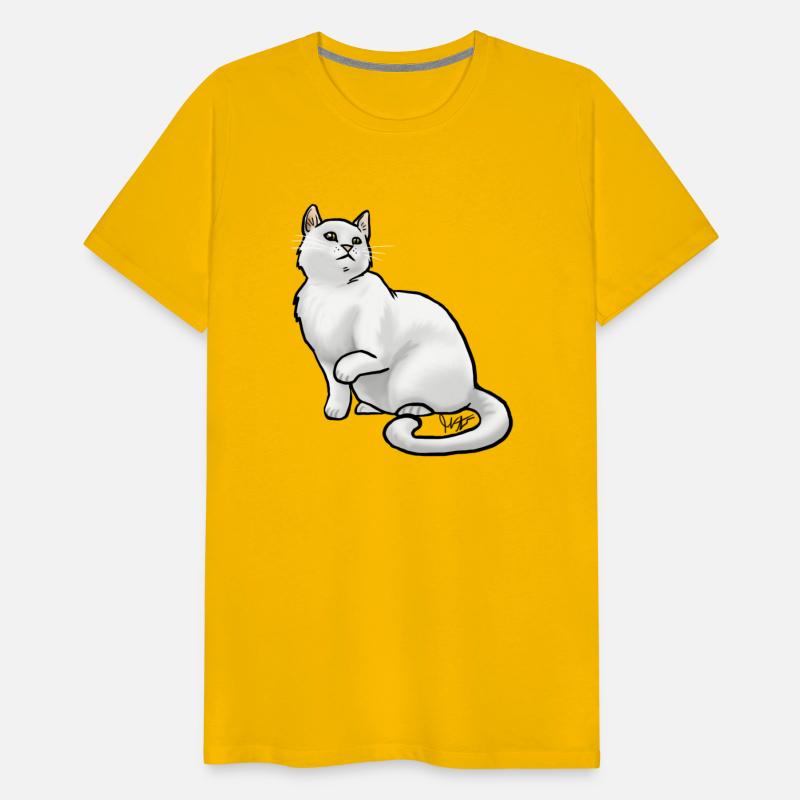 Cat European Shorthair White