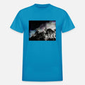 Dark Trees against a dark sky