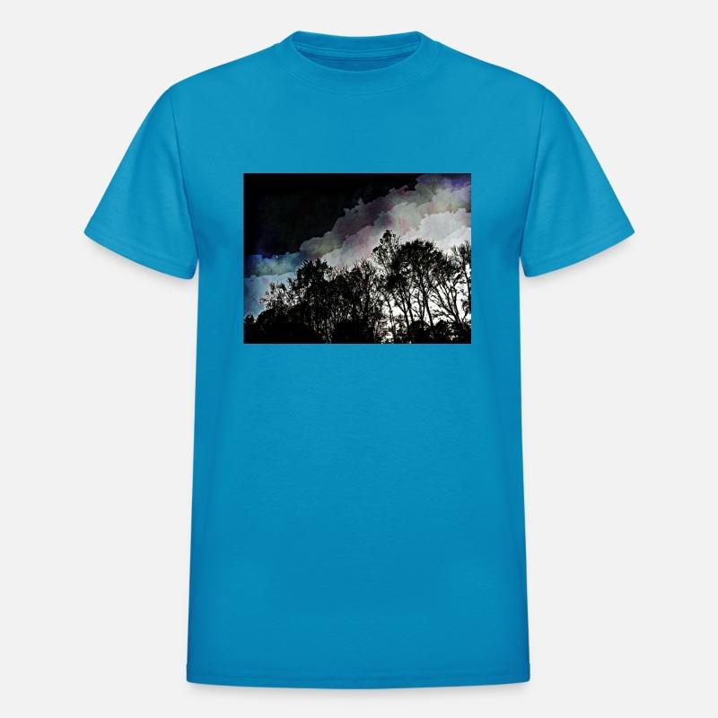 Dark Trees against a dark sky