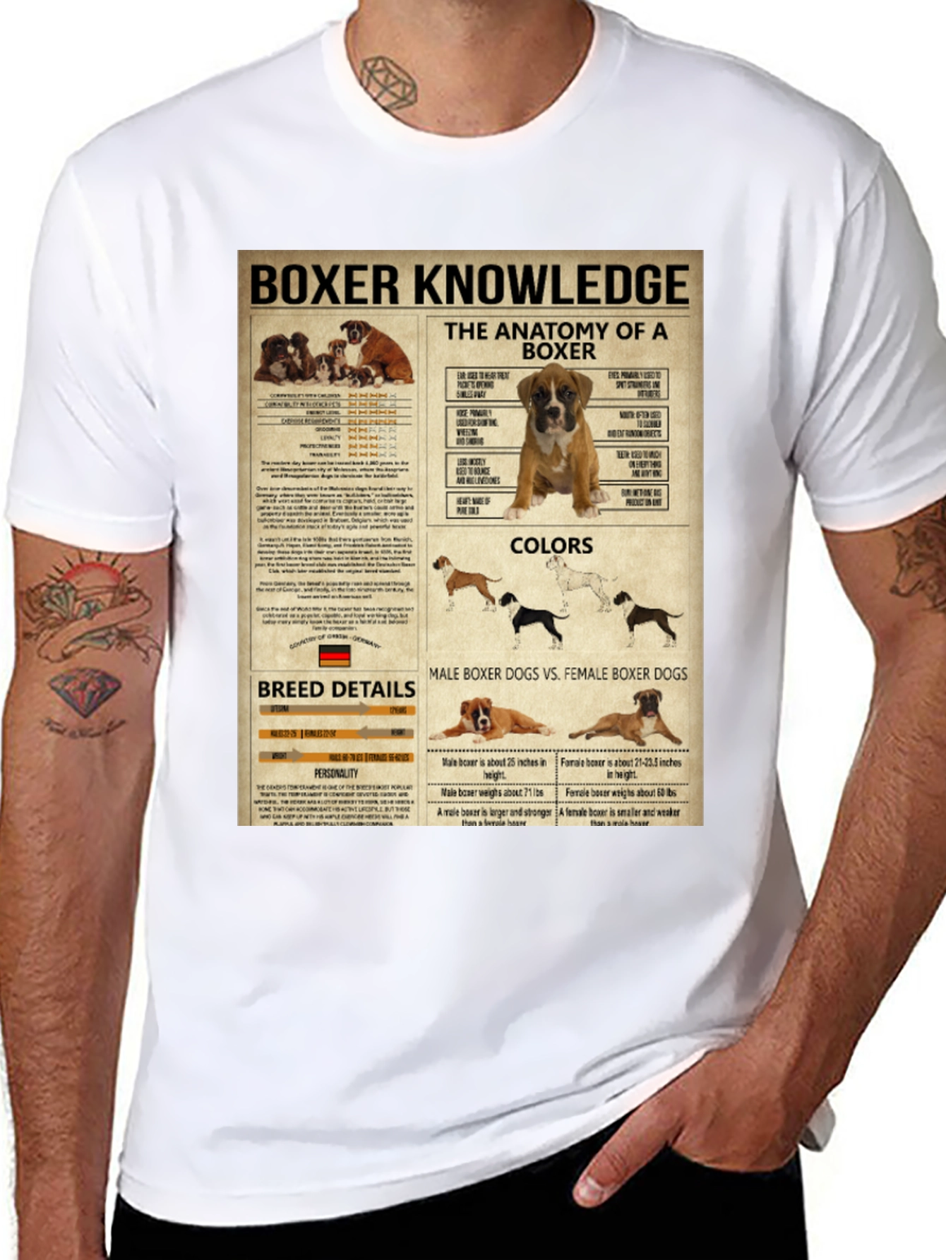 Boxer Dog Knowledge Graphic T-Shirt