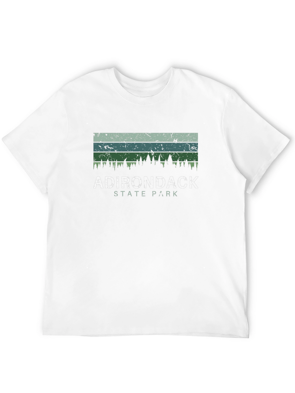 Adirondack State Park Retro Graphic Tee