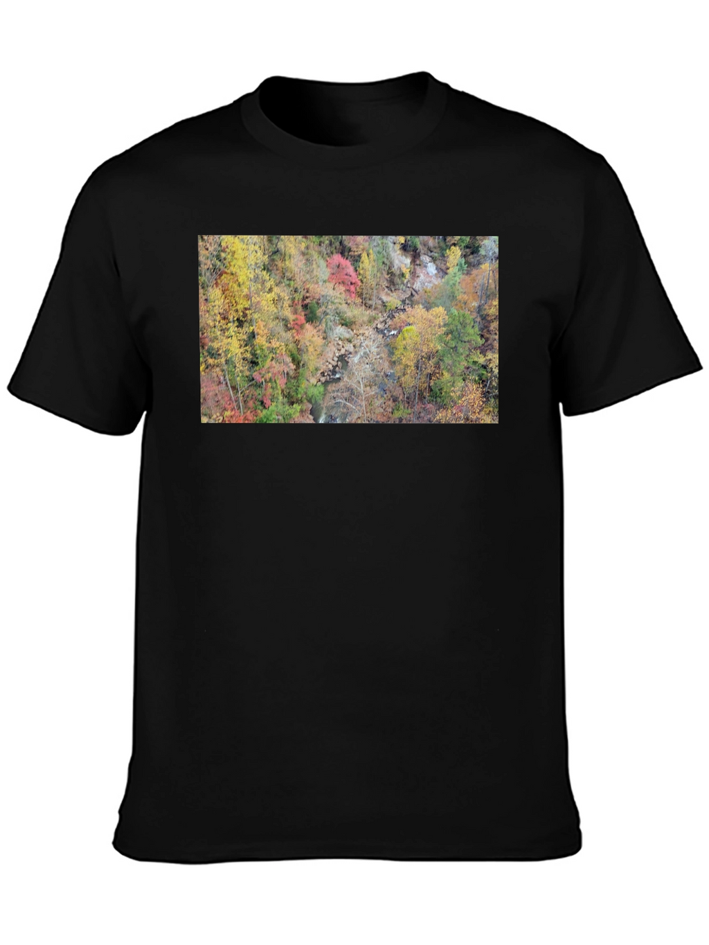 Autumn Forest Stream T-Shirt
