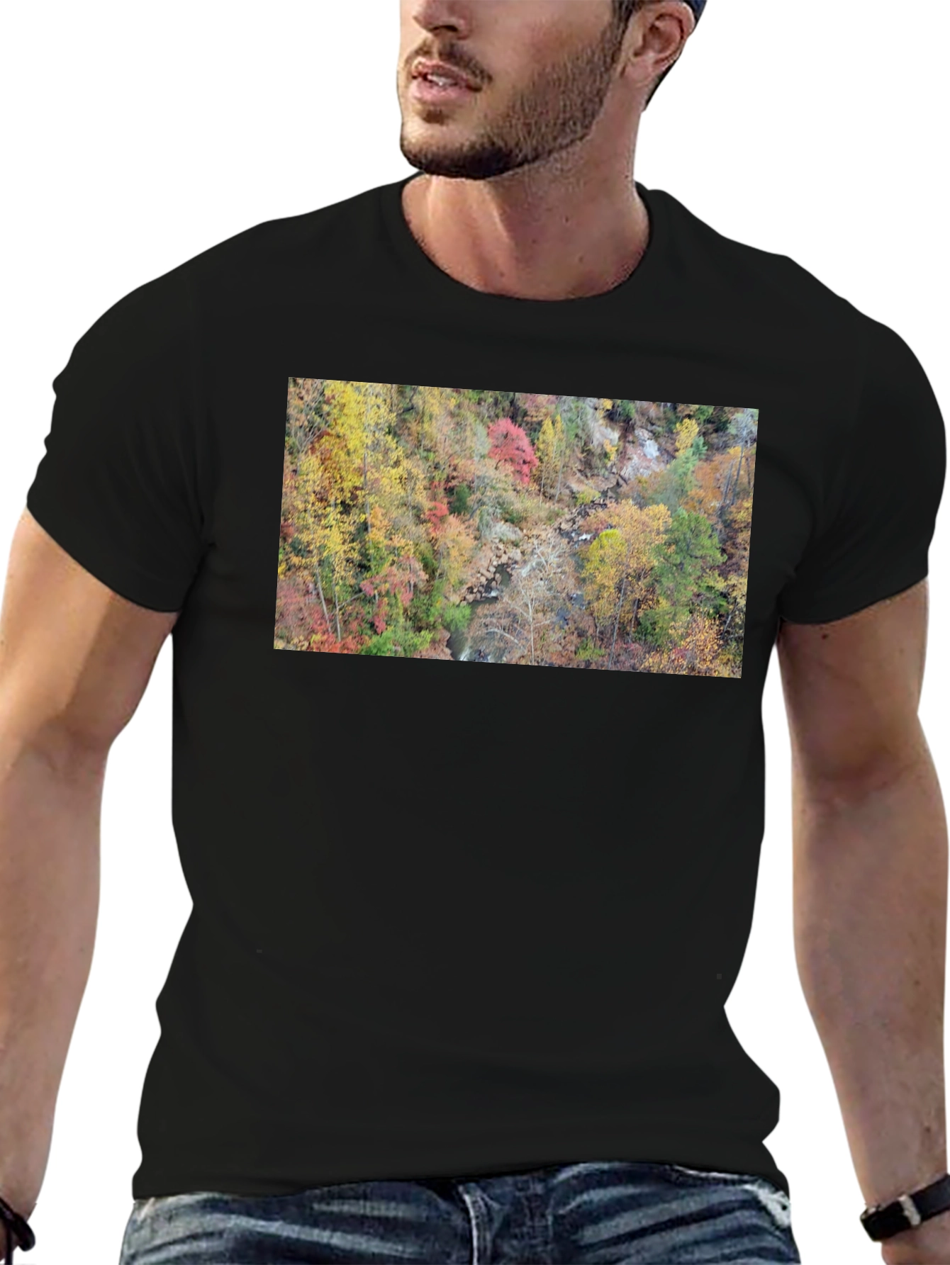 Autumn Forest Stream T-Shirt