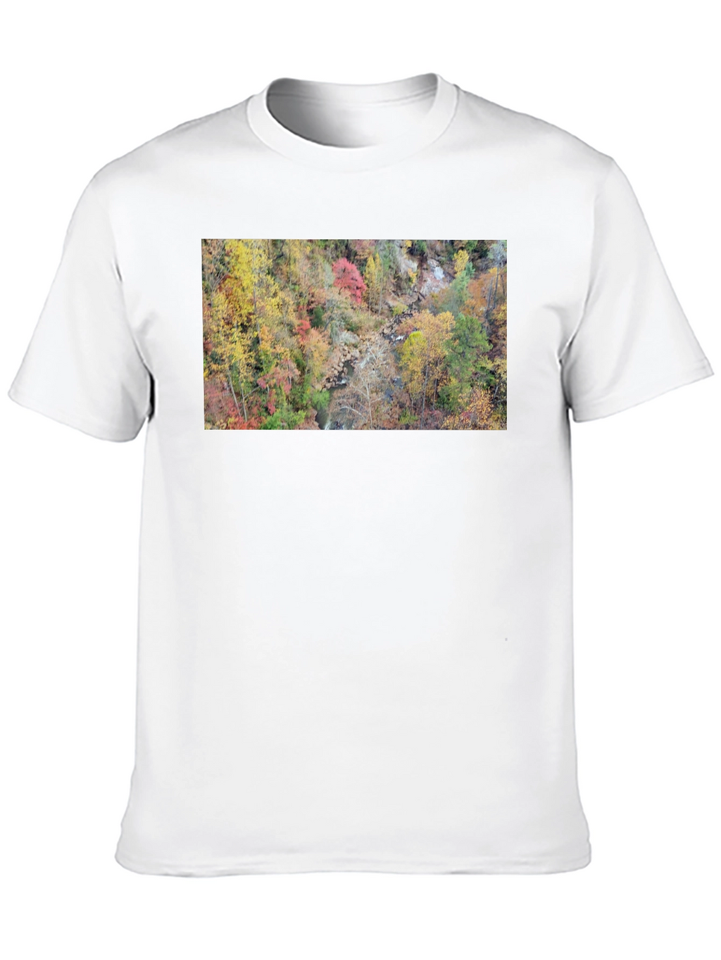 Autumn Forest Stream T-Shirt