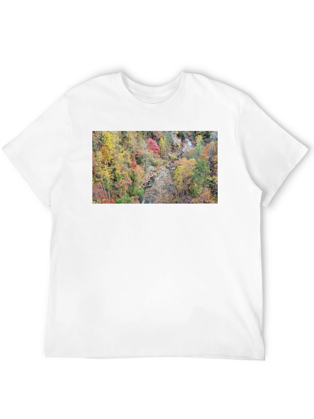 Autumn Forest Stream T-Shirt