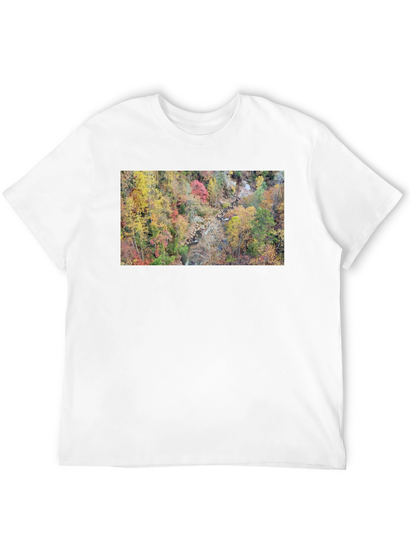 Autumn Forest Stream T-Shirt